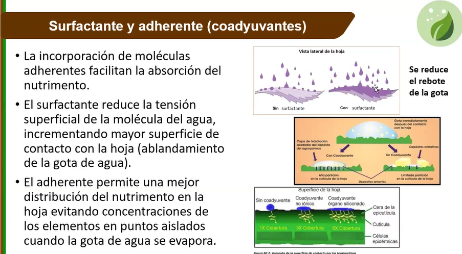 Análisis, Desarrollo e Integración de Mercado para los Productos Agrícolas 
